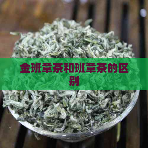 金班章茶和班章茶的区别