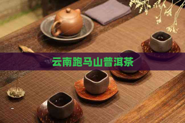 云南跑马山普洱茶