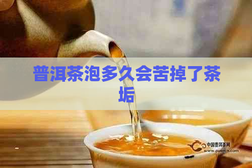 普洱茶泡多久会苦掉了茶垢