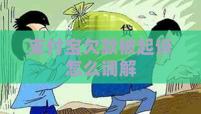 支付宝欠款被起诉怎么调解