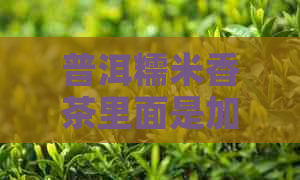 普洱糯米香茶里面是加了什么