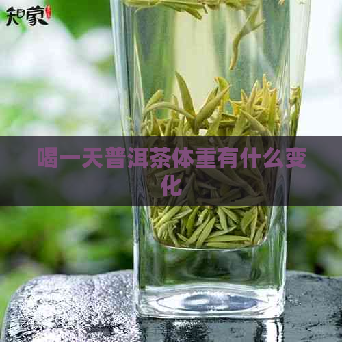 喝一天普洱茶体重有什么变化