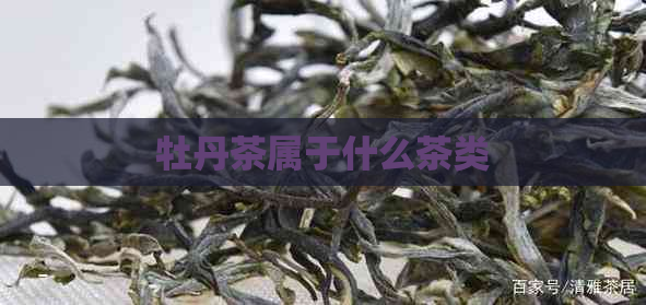 牡丹茶属于什么茶类