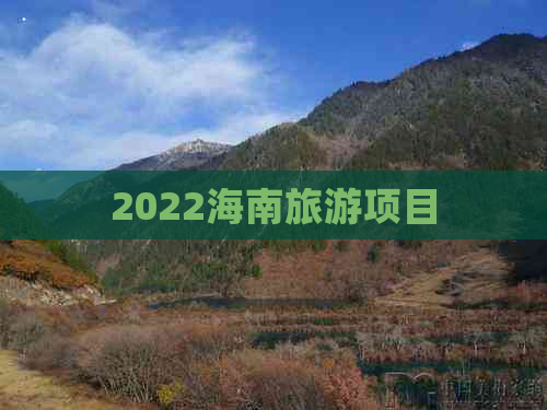 2022海南旅游项目