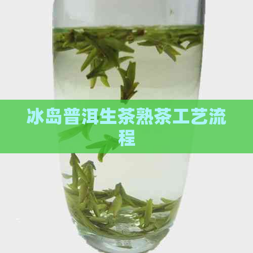 冰岛普洱生茶熟茶工艺流程