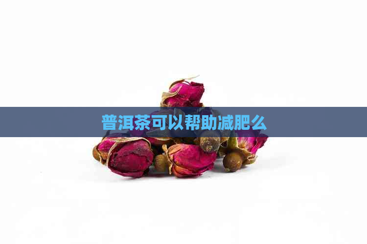 普洱茶可以帮助减肥么