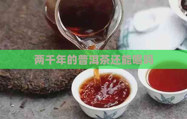 两千年的普洱茶还能喝吗