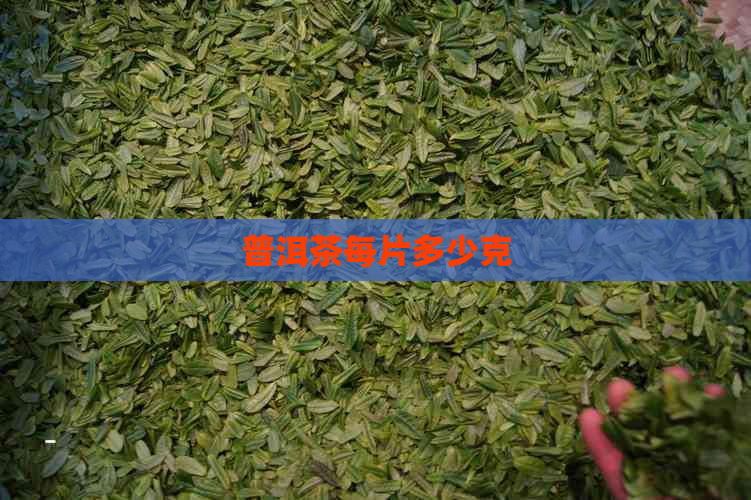 普洱茶每片多少克