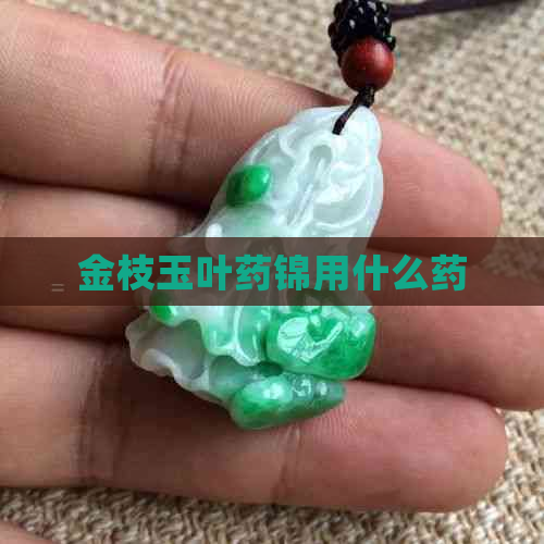 金枝玉叶药锦用什么药