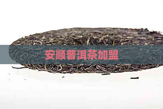 安顺普洱茶加盟