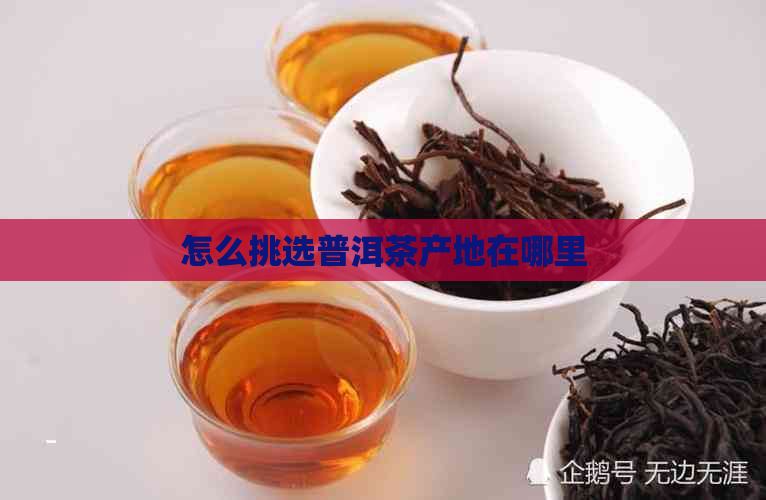 怎么挑选普洱茶产地在哪里