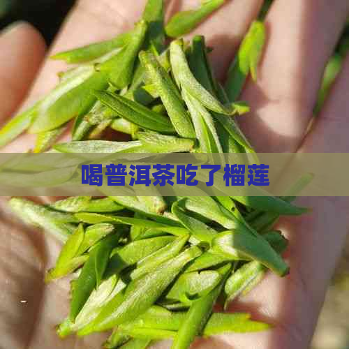 喝普洱茶吃了榴莲