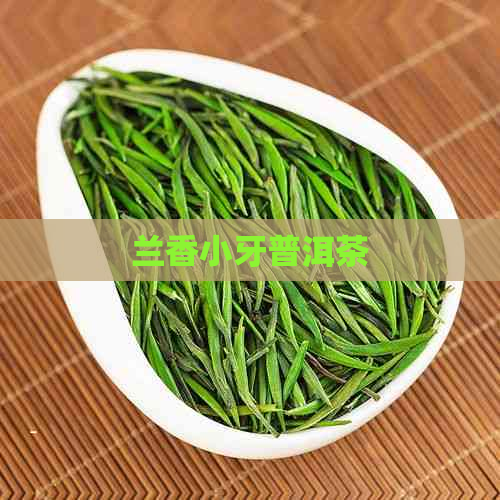 兰香小牙普洱茶