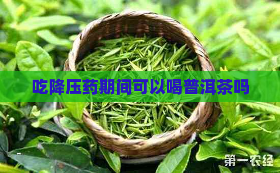 吃降压药期间可以喝普洱茶吗