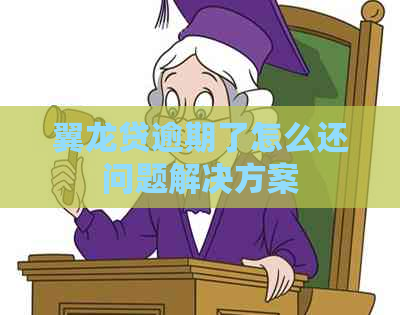 翼龙贷逾期了怎么还问题解决方案