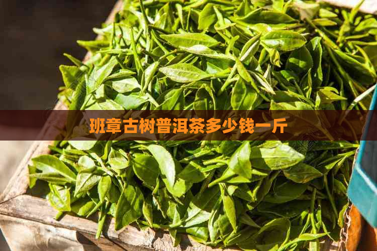 班章古树普洱茶多少钱一斤