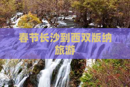 春节长沙到西双版纳旅游