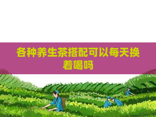 各种养生茶搭配可以每天换着喝吗