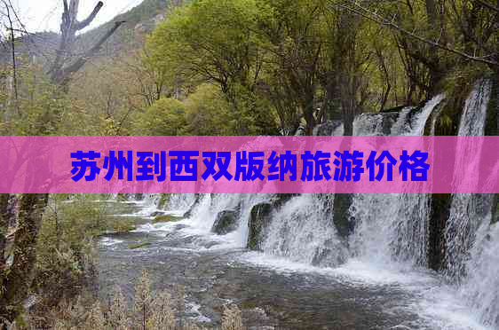 苏州到西双版纳旅游价格