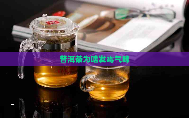 普洱茶为啥发霉气味