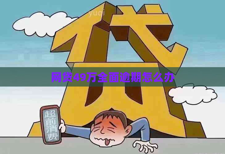 网贷49万全面逾期怎么办