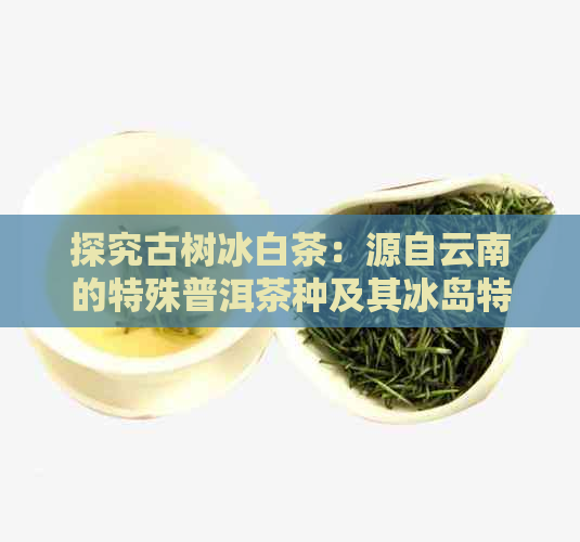 探究古树冰白茶：源自云南的特殊普洱茶种及其冰岛特色