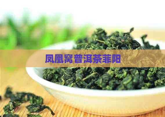 凤凰窝普洱茶菲阳