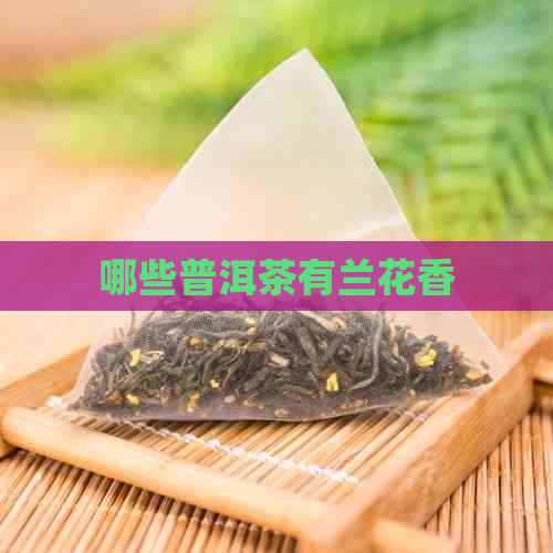 哪些普洱茶有兰花香