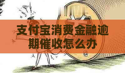 支付宝消费金融逾期怎么办