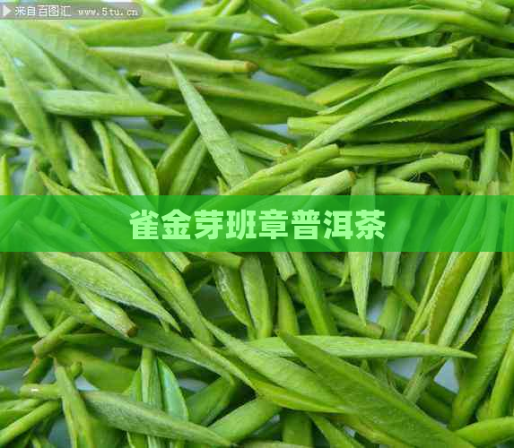 雀金芽班章普洱茶