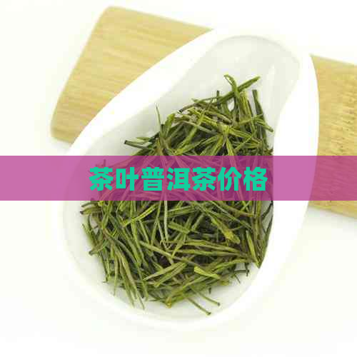 茶叶普洱茶价格