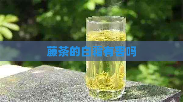 藤茶的白霜有害吗