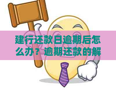 建行还款日逾期后怎么办？逾期还款的解决方法和后果全解析