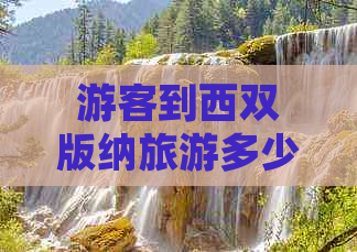 游客到西双版纳旅游多少钱