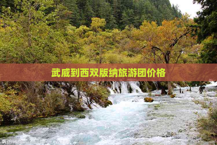 武威到西双版纳旅游团价格