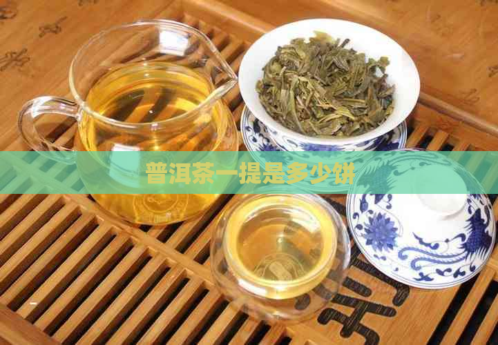 普洱茶一提是多少饼