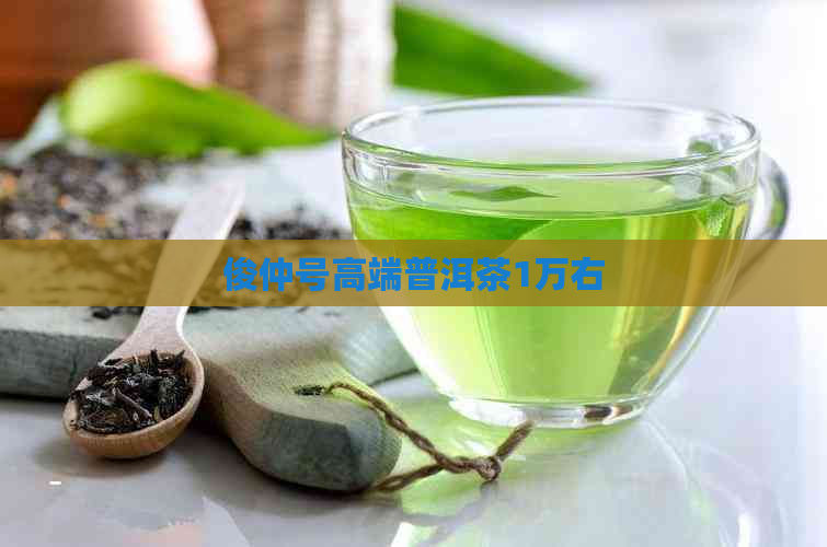 俊仲号高端普洱茶1万右