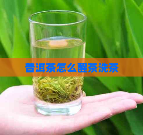 普洱茶怎么醒茶洗茶