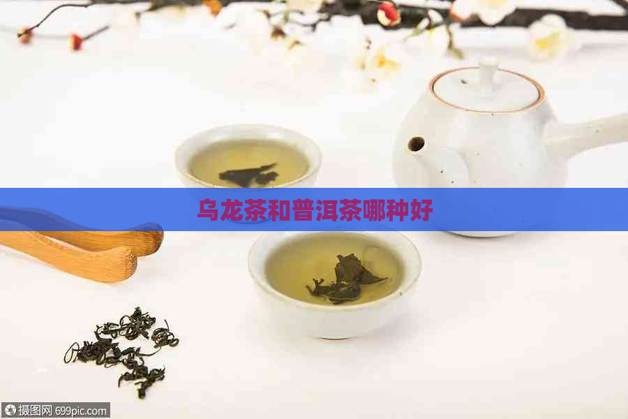 乌龙茶和普洱茶哪种好