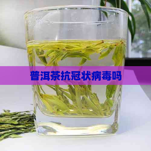 普洱茶抗冠状病吗