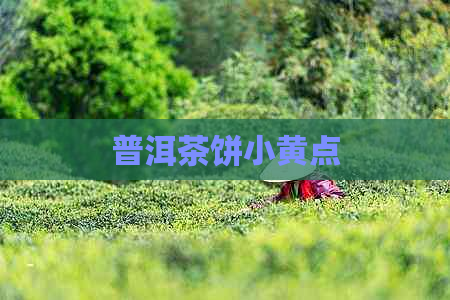 普洱茶饼小黄点