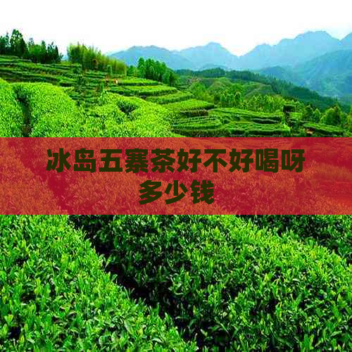 冰岛五寨茶好不好喝呀多少钱