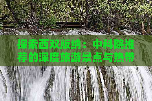 探索西双版纳：中科院推荐的深度旅游景点与热带植物园攻略