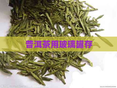 普洱茶用玻璃罐存