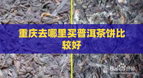 重庆去哪里买普洱茶饼比较好