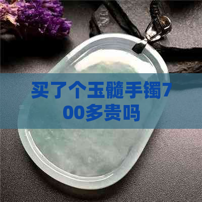 买了个玉髓手镯700多贵吗