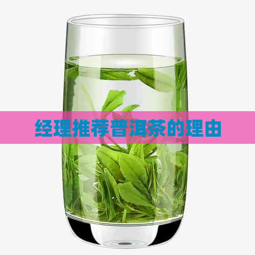 经理推荐普洱茶的理由