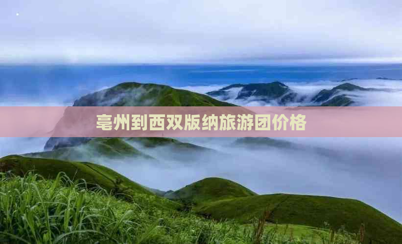 亳州到西双版纳旅游团价格