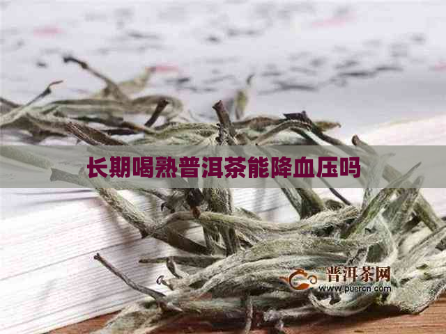 长期喝熟普洱茶能降血压吗