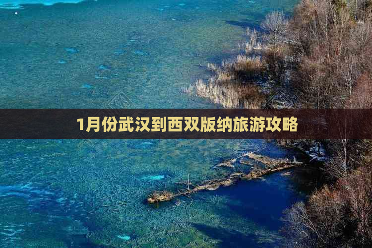 1月份武汉到西双版纳旅游攻略